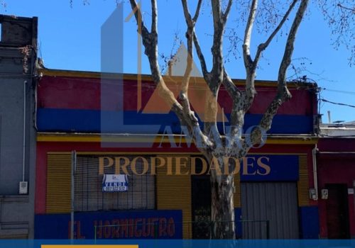 Copia de Feed Lau (11)