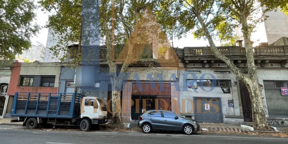 Copia de Feed Lau (15)