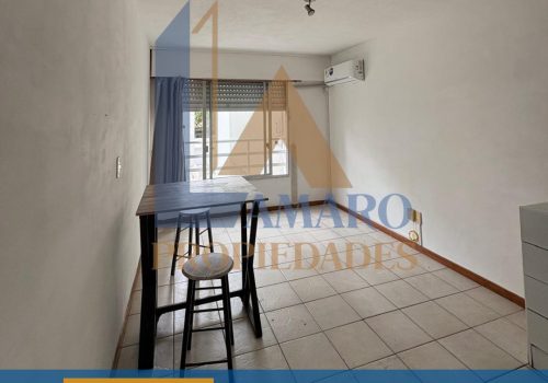 Copia de Feed Lau (18)