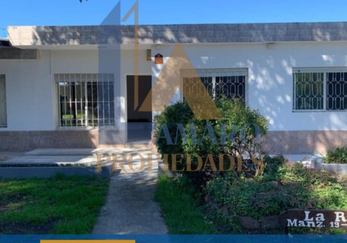Copia de Feed Lau (37)