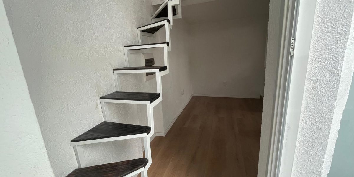 WhatsApp Image 2026-03-06 at 9.24.31 AM (2)