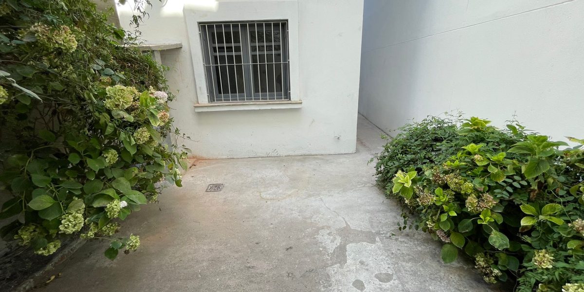 WhatsApp Image 2026-03-09 at 3.23.53 PM (2)