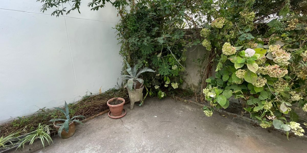 WhatsApp Image 2026-03-09 at 3.23.54 PM