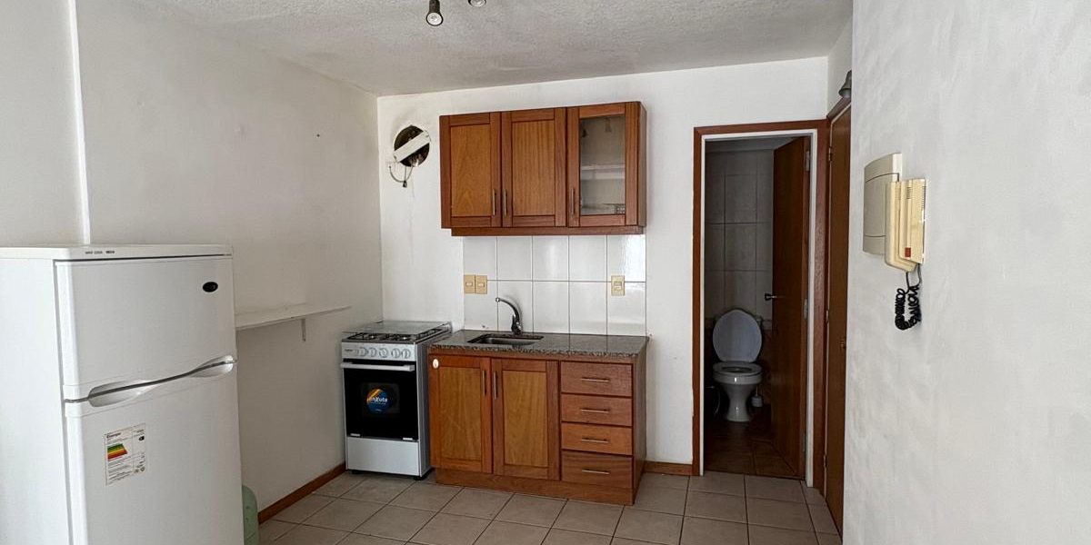 WhatsApp Image 2026-03-13 at 12.43.35